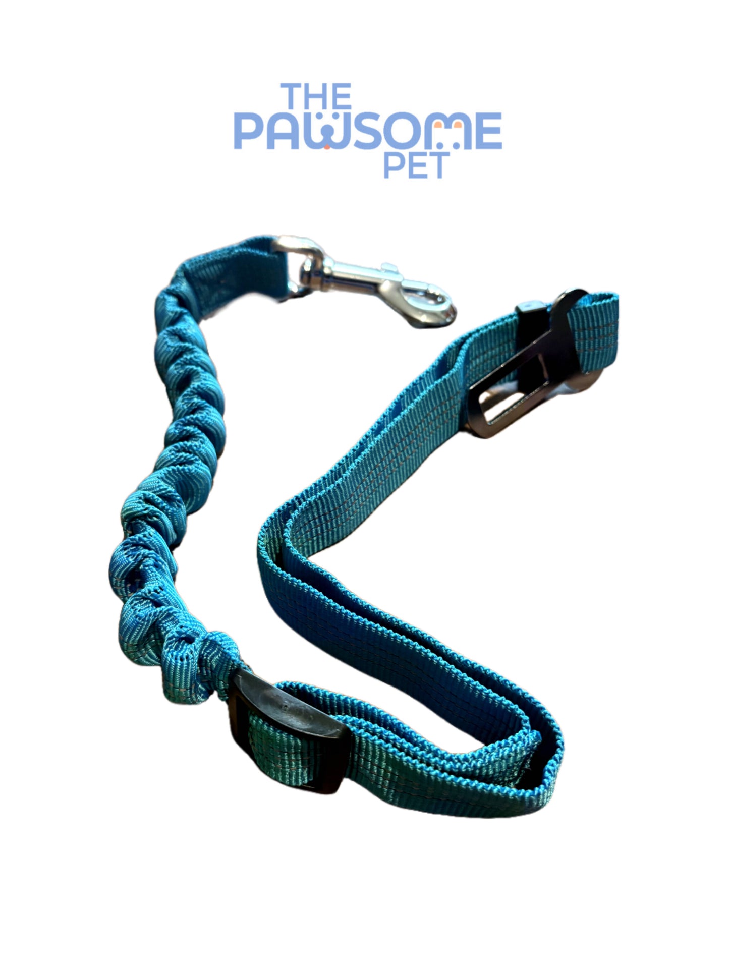 car seat belt detail