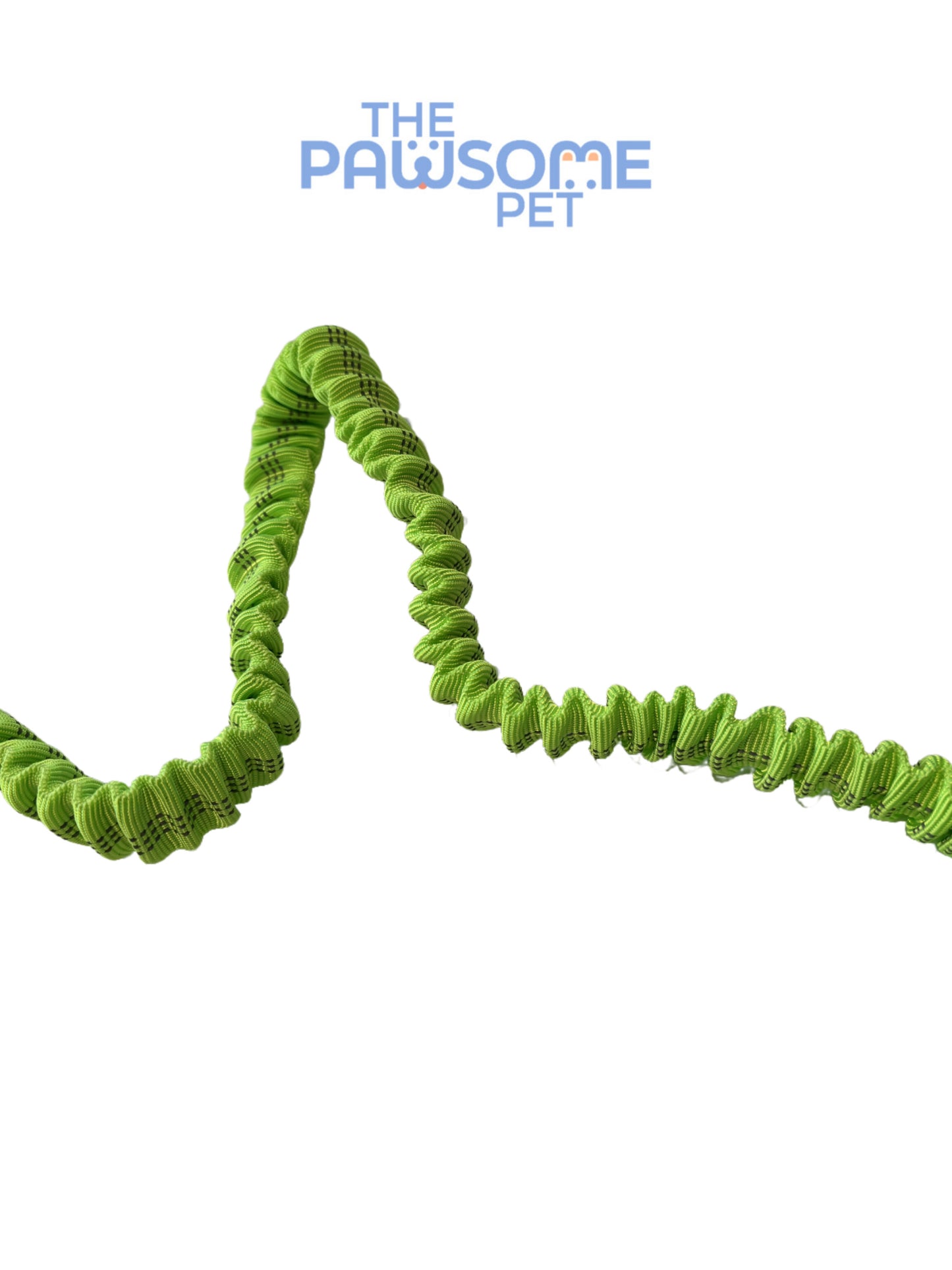 dog leash with two handles detail