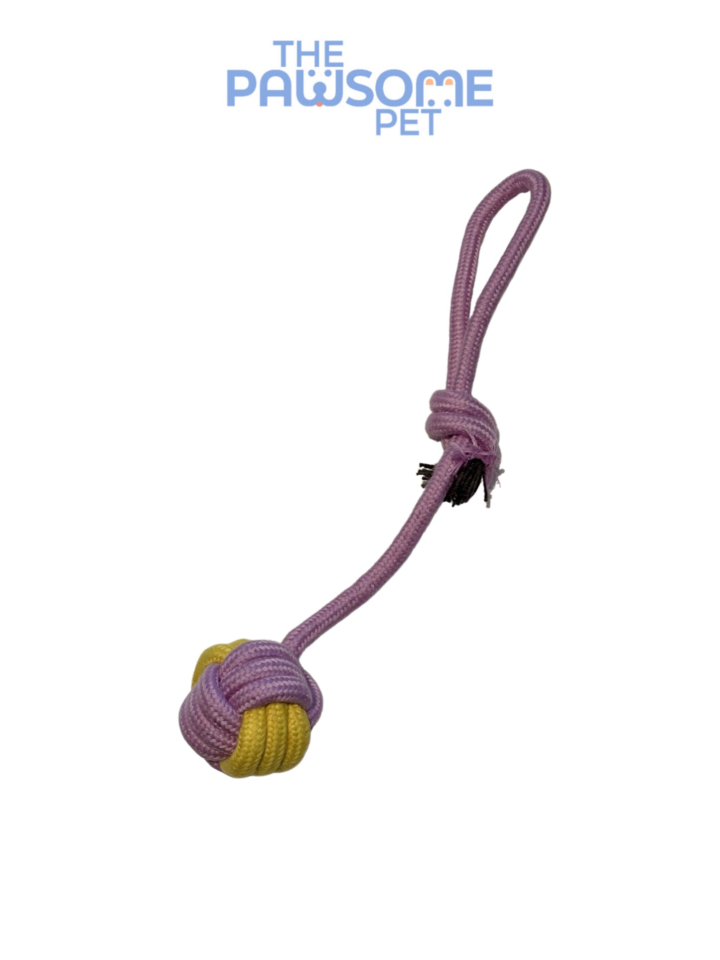 dog rope purple set
