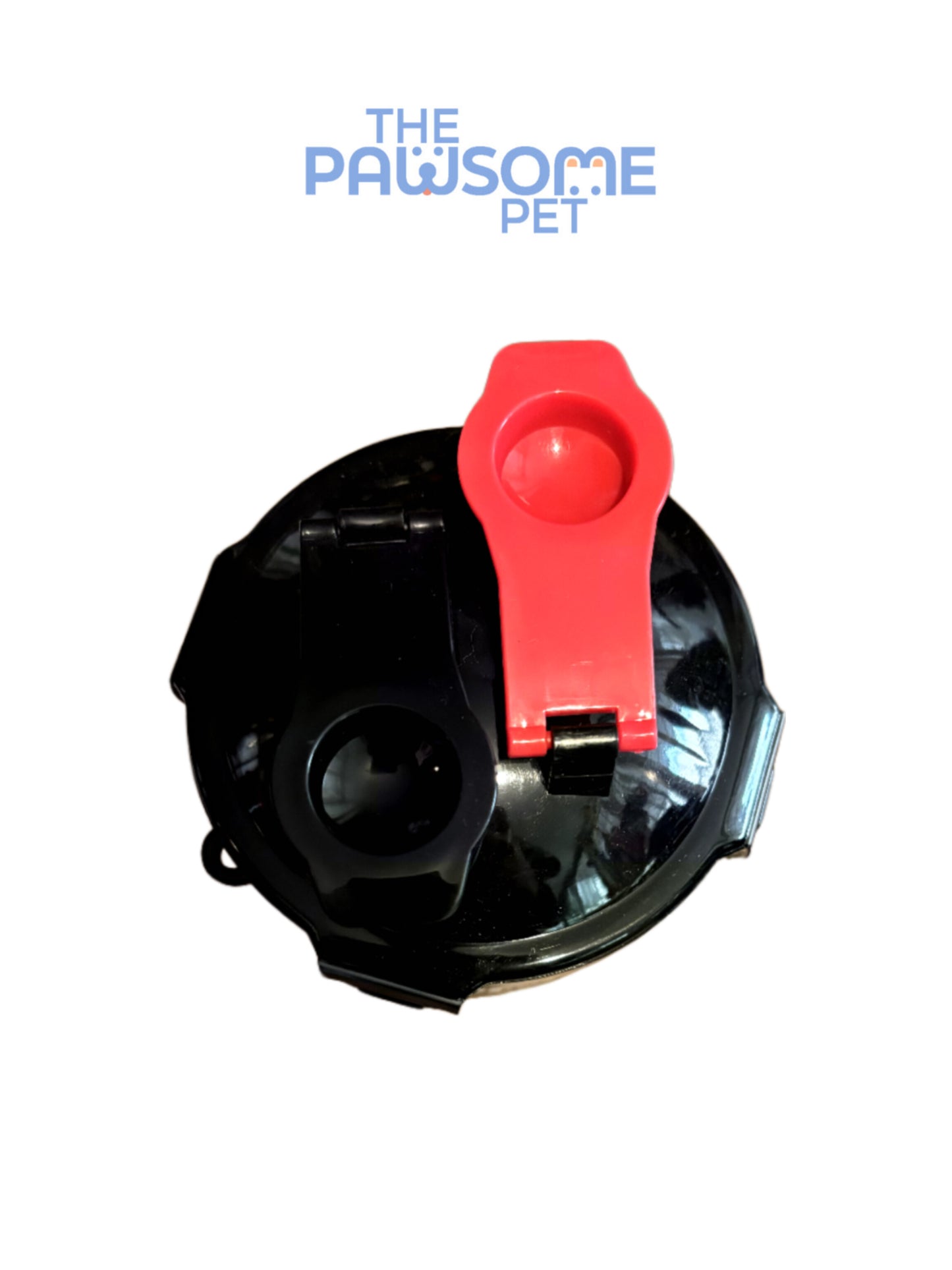 plastic bottle lateral