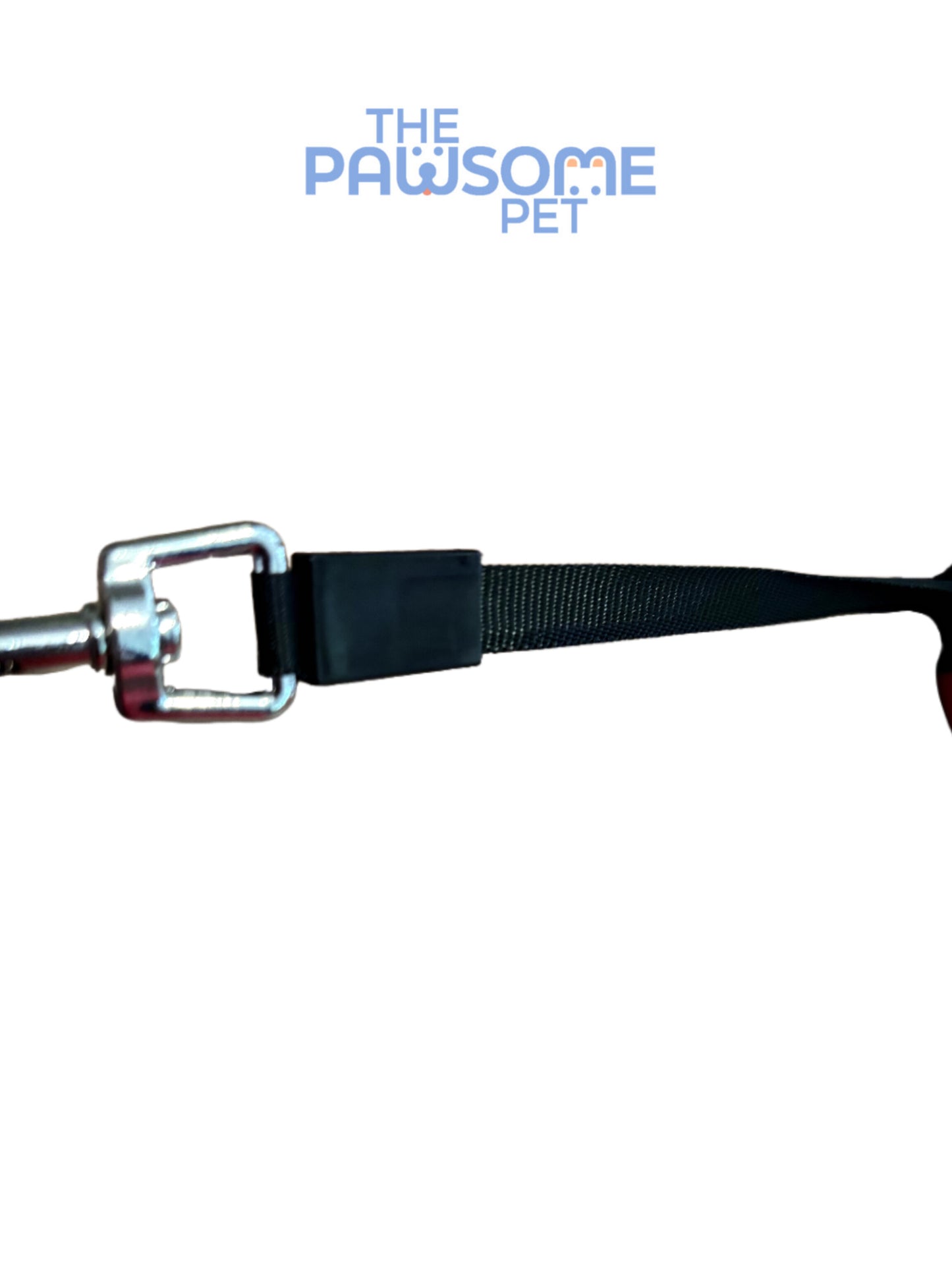 retractable leash untangled leash