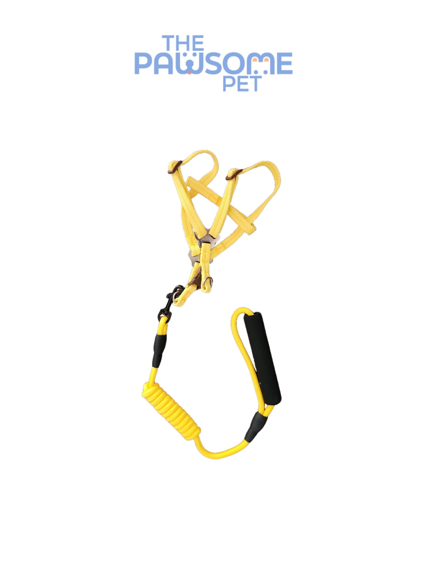 Pawsome's No-Pull Pet Harness & Leash Set