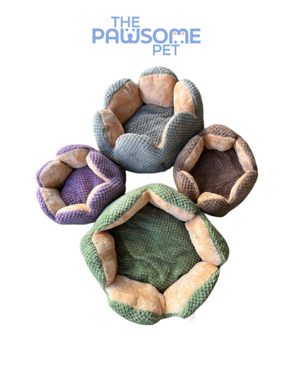cactus petal shape bed