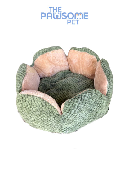 cactus petal shape bed green 1