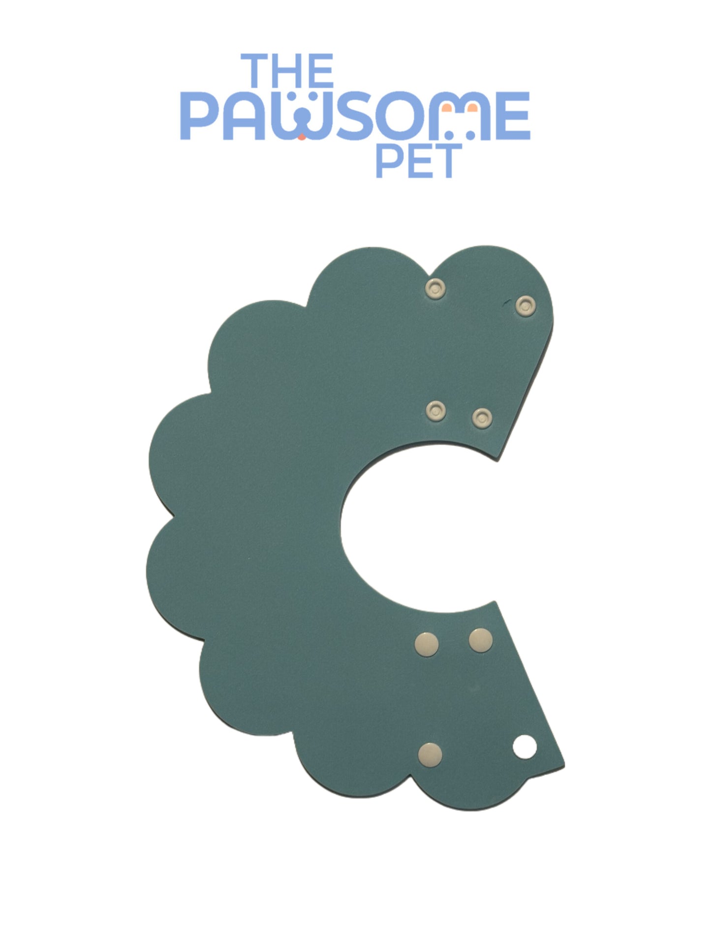 Elizabeth foam collar blue