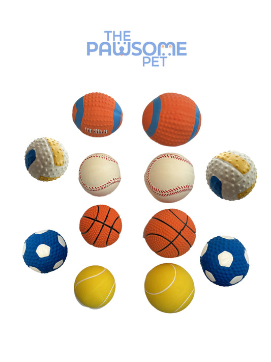 pet dog ball