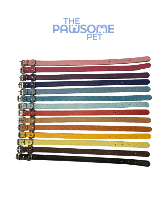 Pawsome's PU Pet Collar