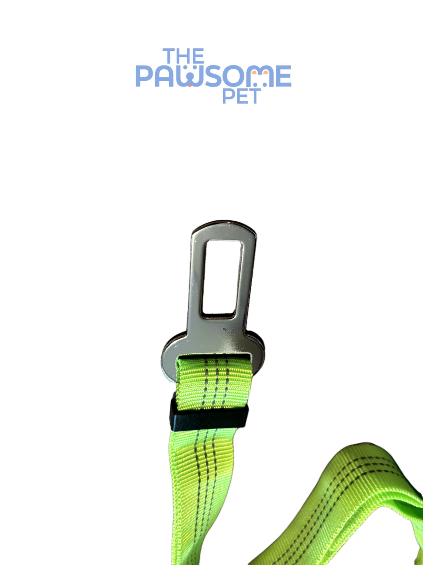 car seat belt detail