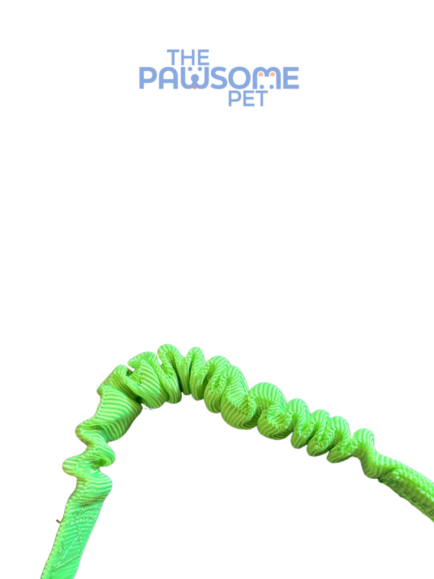 car seat belt detail