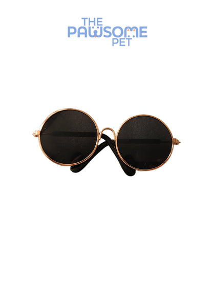 Pawsome's cat sunglasses
