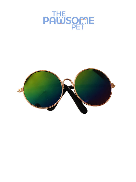 Pawsome's cat sunglasses