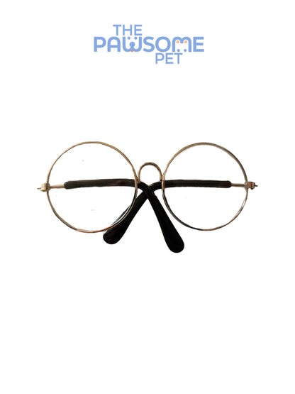 Pawsome's cat sunglasses
