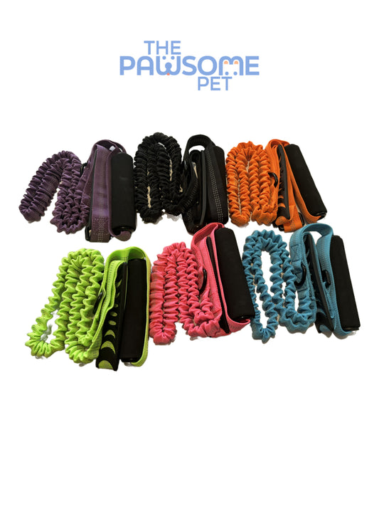 dog leash with two handles