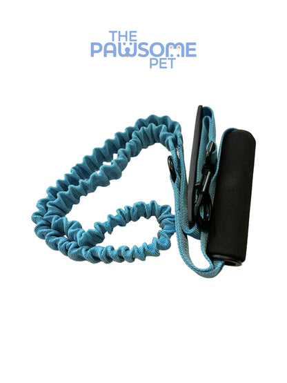 dog leash with two handles blue