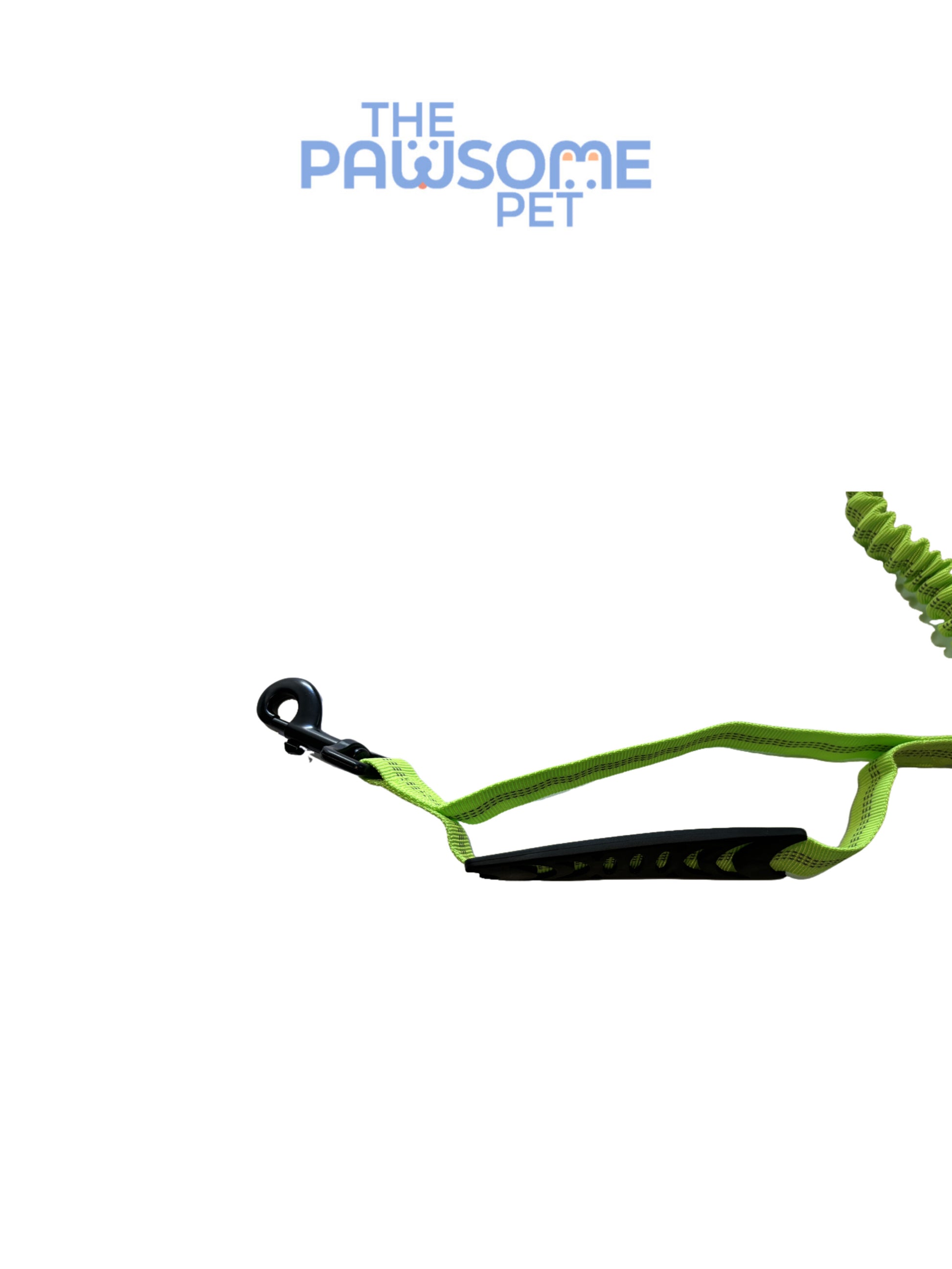 dog leash with two handles detail