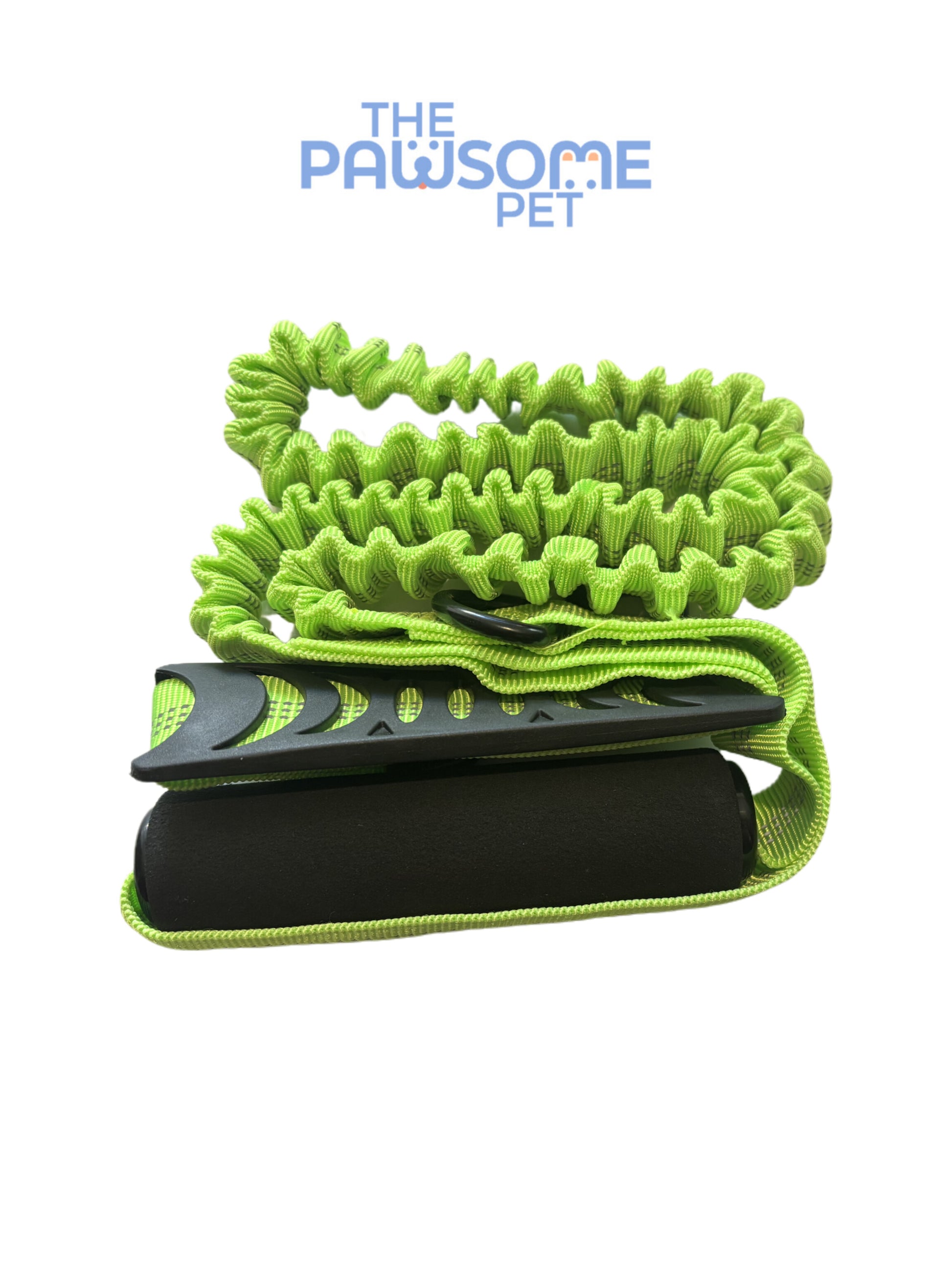 dog leash with two handles green
