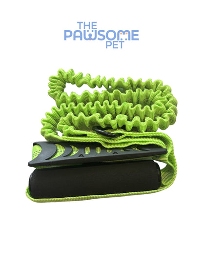 dog leash with two handles green
