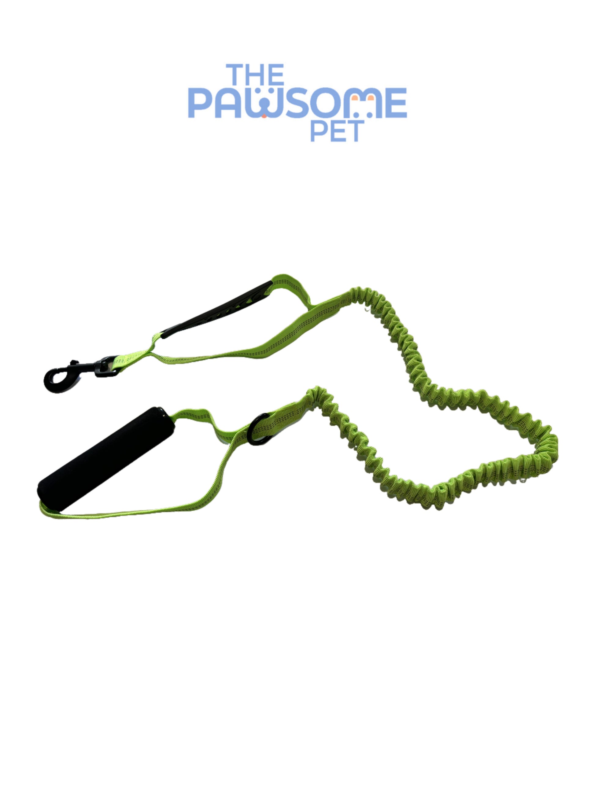 dog leash with two handles detail