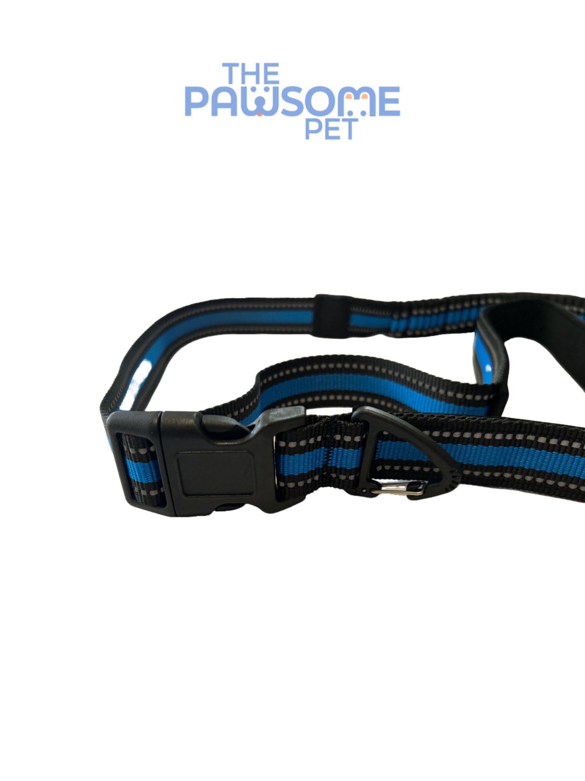 dog reflective leash blue