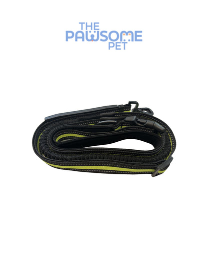 dog reflective leash green