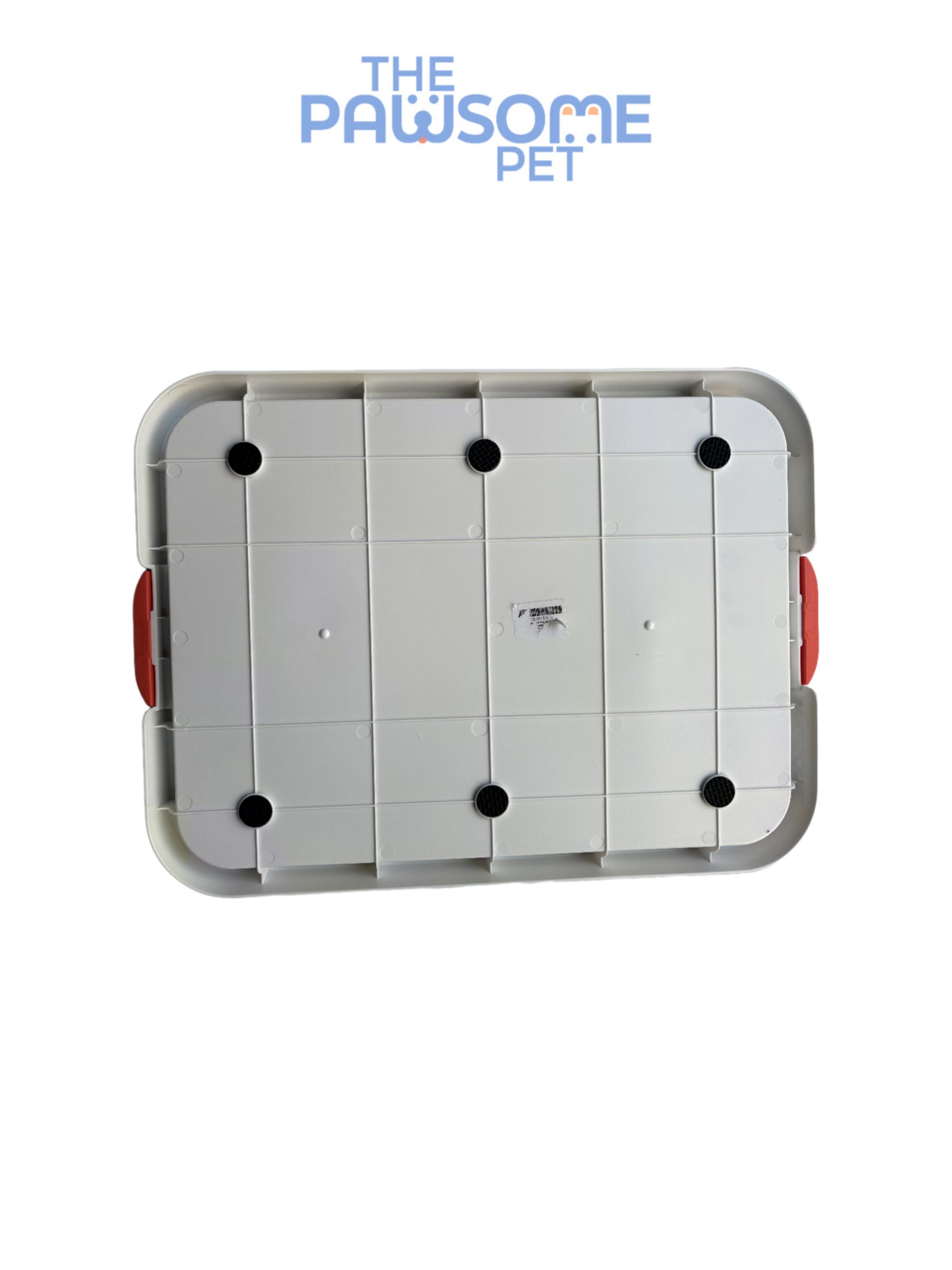 dog toilet orange back