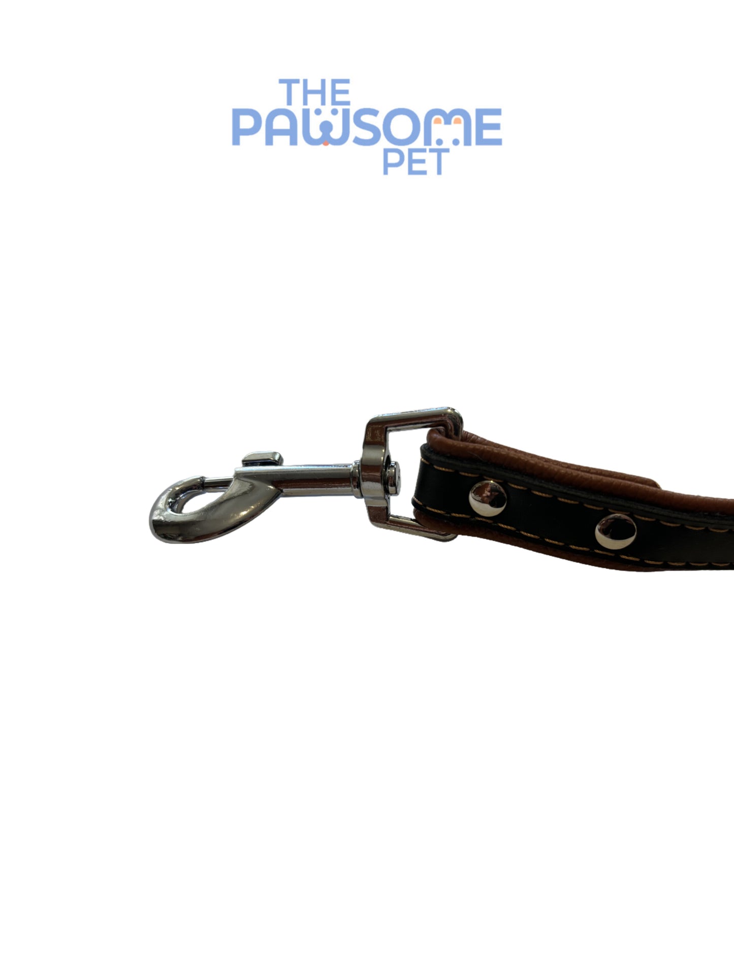 leather dog leash detail