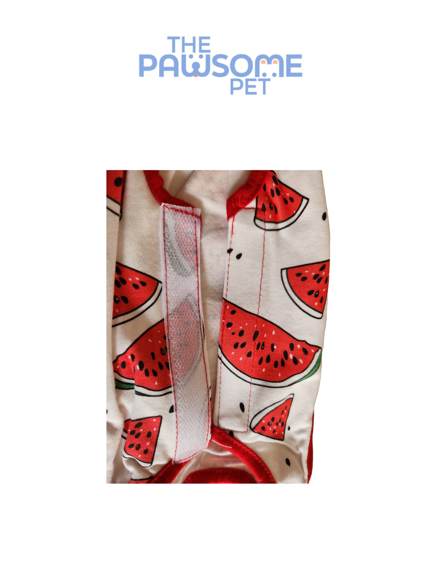 Neuter suit (Recovery Suit)