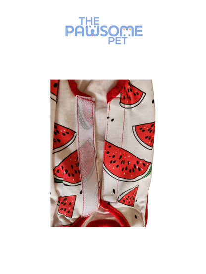 Neuter suit (Recovery Suit)