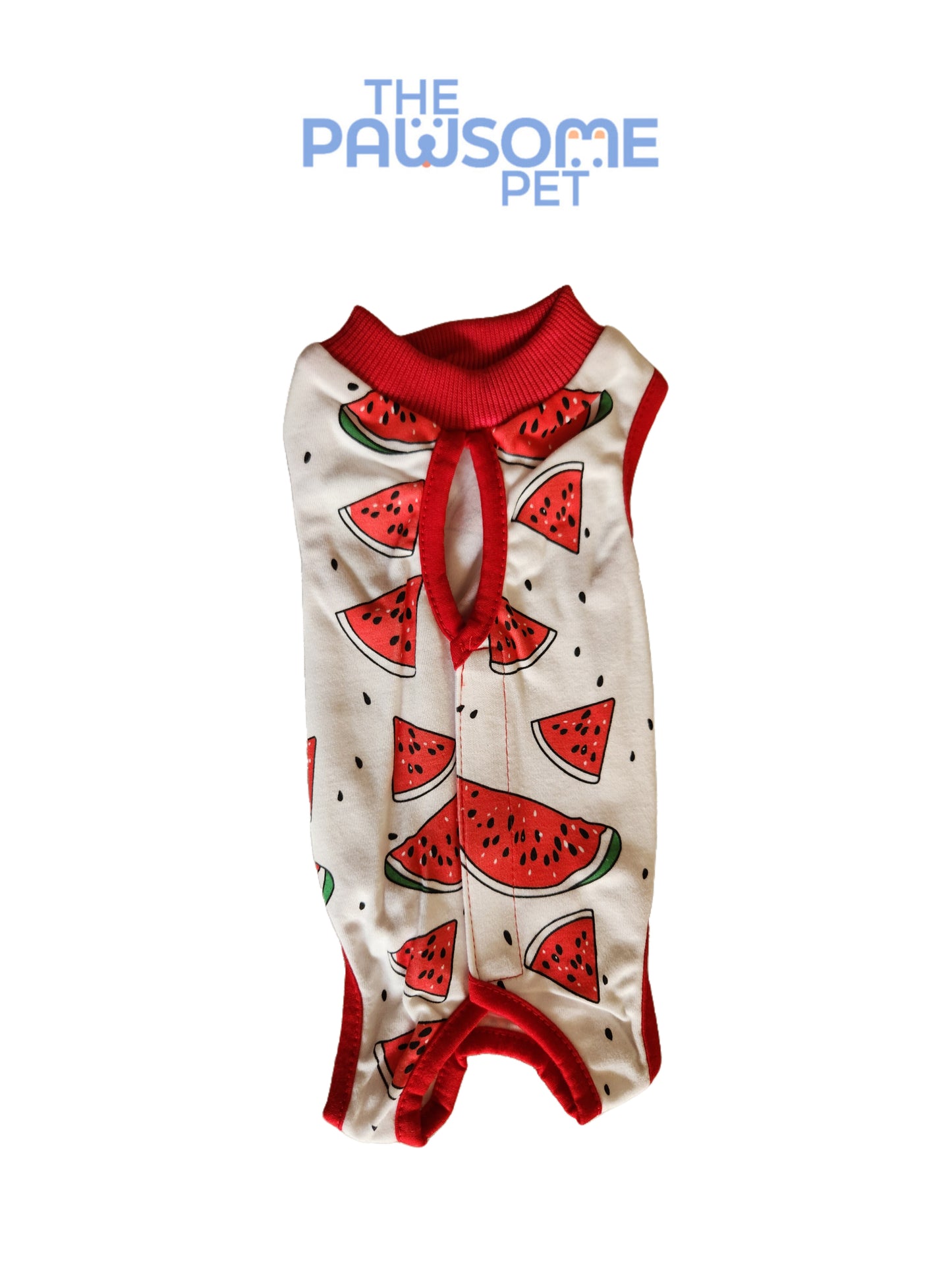 Neuter suit (Recovery Suit)