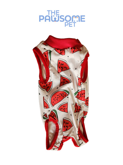 Neuter suit (Recovery Suit)