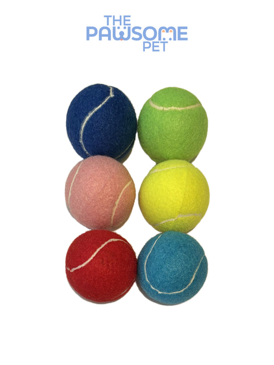 pet tennis ball