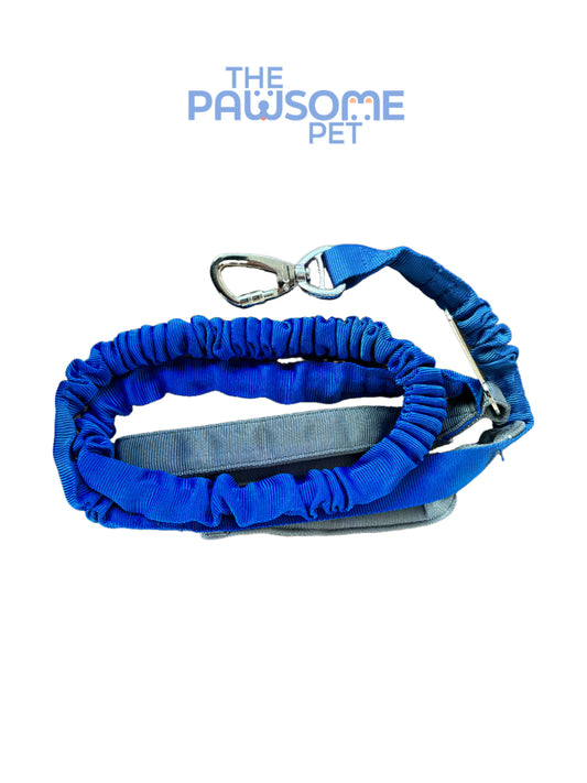 reflective leash car esat belt blue