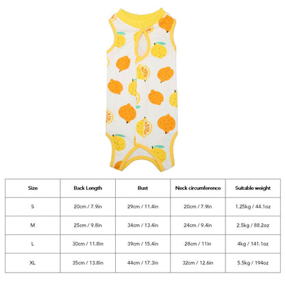 Pawsome's Neuter suit (Recovery Suit)